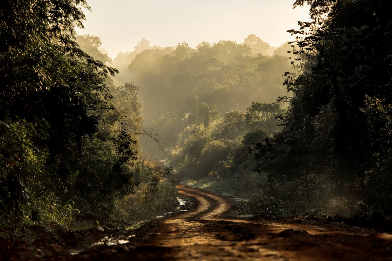 Traveling-moving-scary-dirt-road 